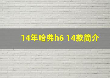 14年哈弗h6 14款简介